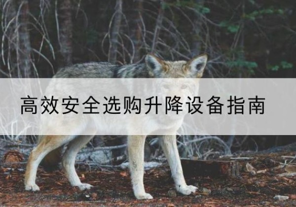 商城升降货梯厂家推荐-*安全选购升降设备指南