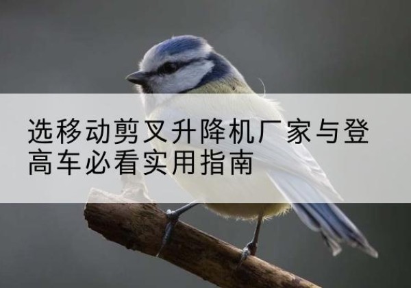 商城电动升降机厂家-选移动剪叉升降机厂家与登高车必看实用指南